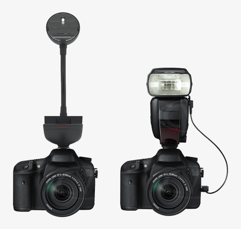 Hink Spacefish - Canon Sr-n3 Remote Release Cord, transparent png