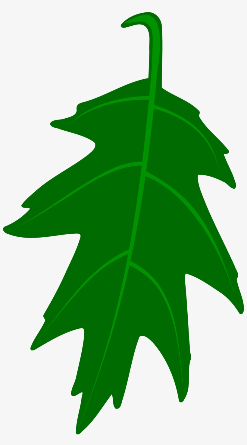 Leaf Clipart - Oak Leaf Clip Art Free, transparent png