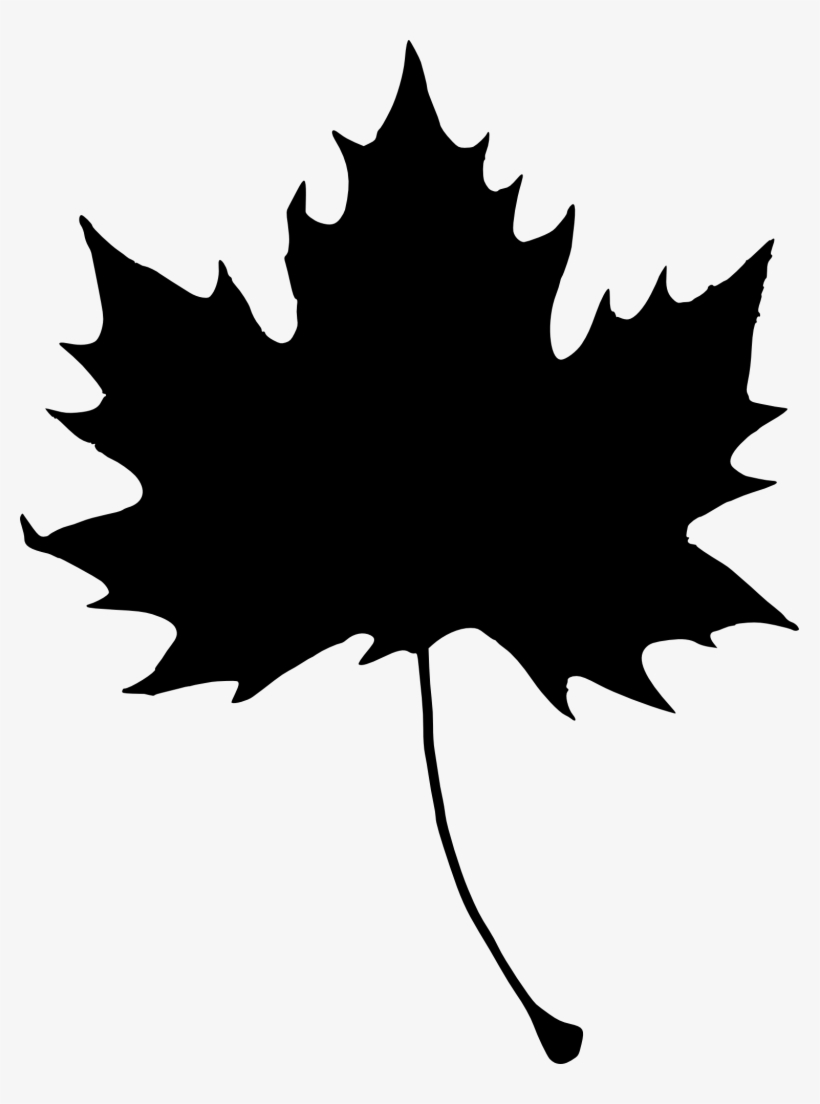 Maple Leaves Silhouette At Getdrawings - Portable Network Graphics, transparent png