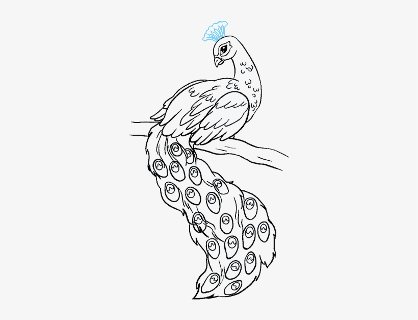 How To Draw A Peacock In A Few Easy Steps - Easy Drawing Of Peacock, transparent png