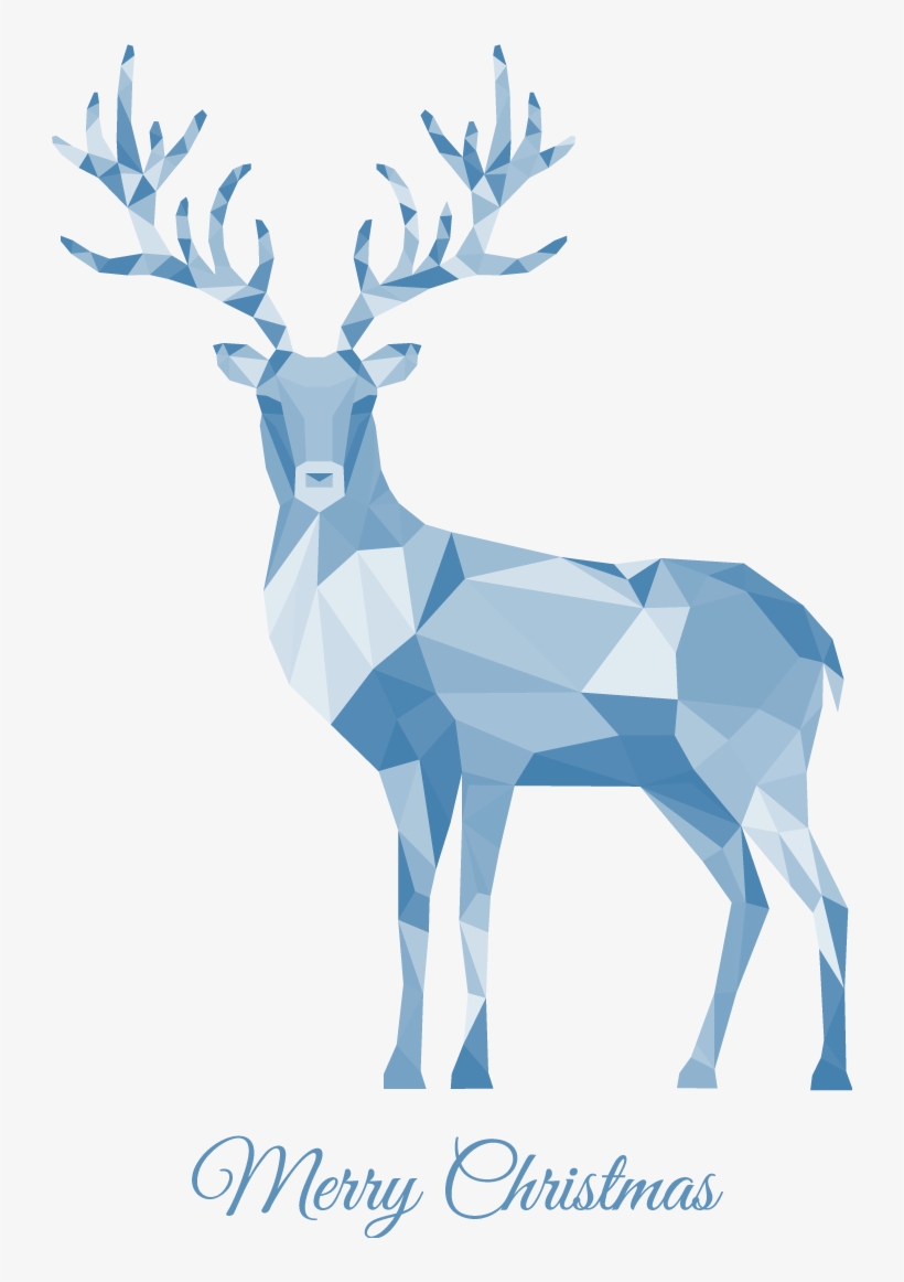 Christmas Deer - Christmas Card With White Reindeer, transparent png
