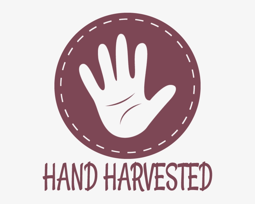 We Will Ship It Separately In 10 To 15 Days - Sign, transparent png