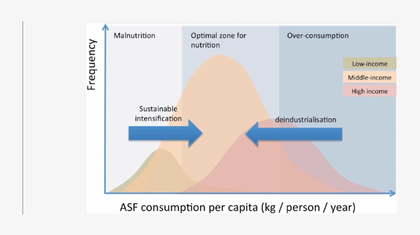 Schematic Diagram Illustrating The Consumption Of Animal - Diagram, transparent png