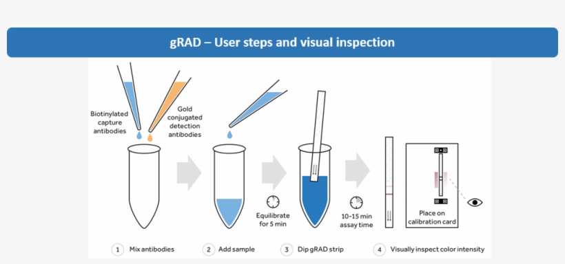 Grad Onedetection Kit - Diagram, transparent png