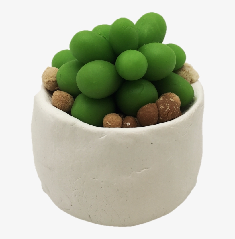 11 Colors Educational Creativity Slime Modeling Foam - Houseplant, transparent png