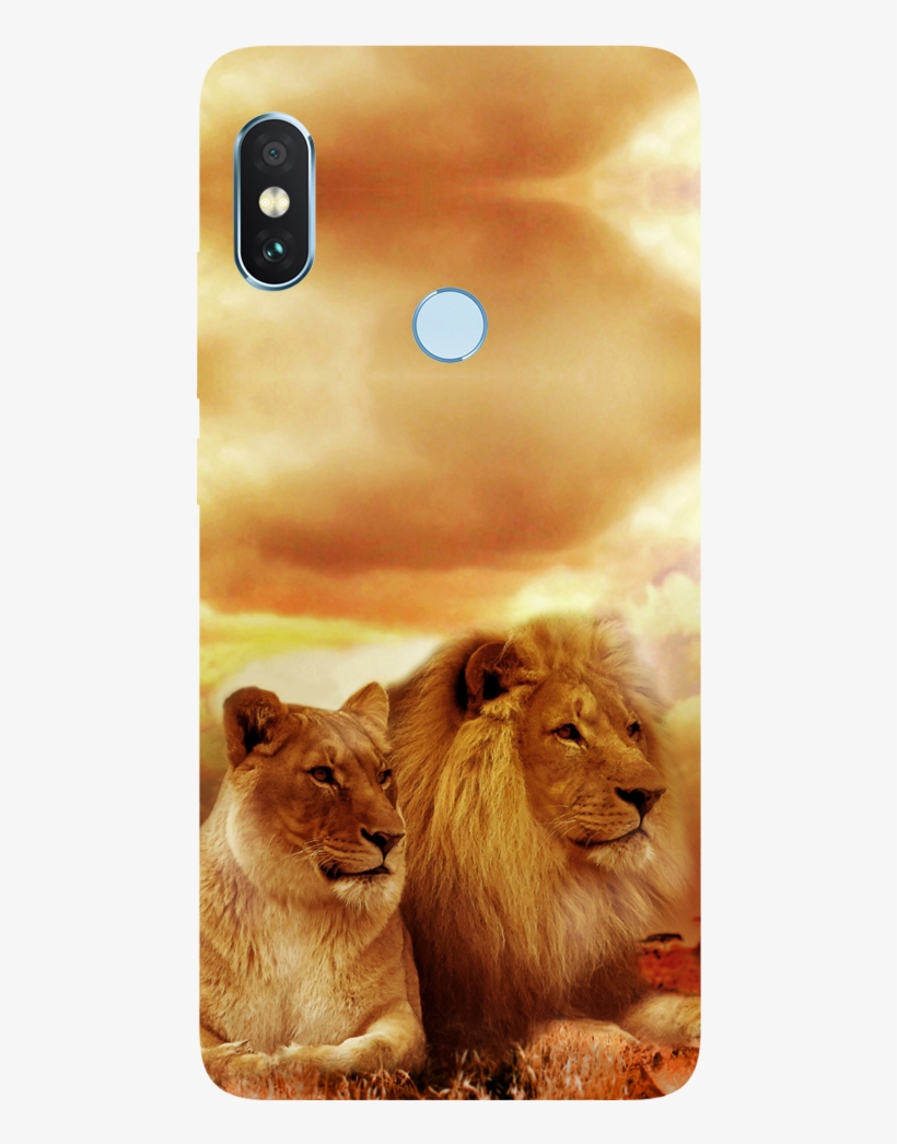 Lion Couple Printed Case Cover For Redmi Note 5 Pro - Lions Kings Of The Jungle 2018, transparent png