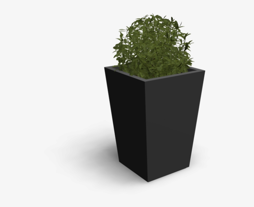 Indoor Plant - Flowerpot, transparent png