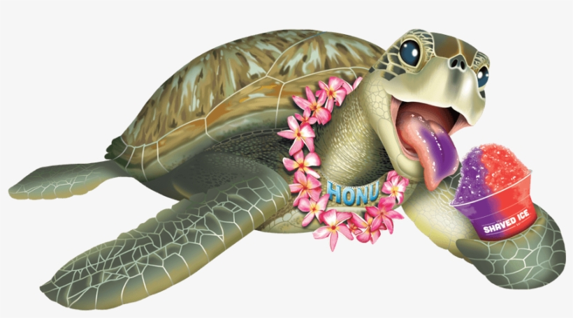 About The Green Sea Turtle - The Shaved Ice Bar, transparent png