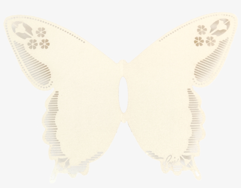 Butterfly, transparent png