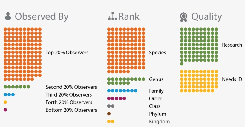 Thanks As Always For Being Part Of The Inaturalist - Herma Lot De 5 Etuis De 540 Étiquettes Multi-usages, transparent png