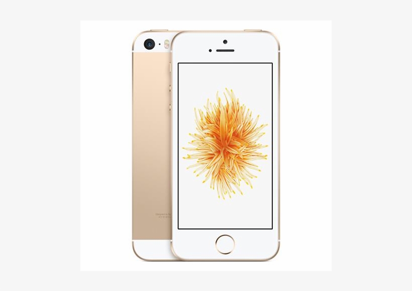 Auction - Apple Iphone Se 16gb Gold Unlocked, transparent png