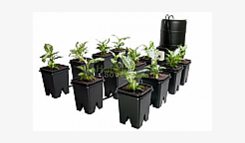 Active Aqua Grow Flow 5 Gallon System, transparent png