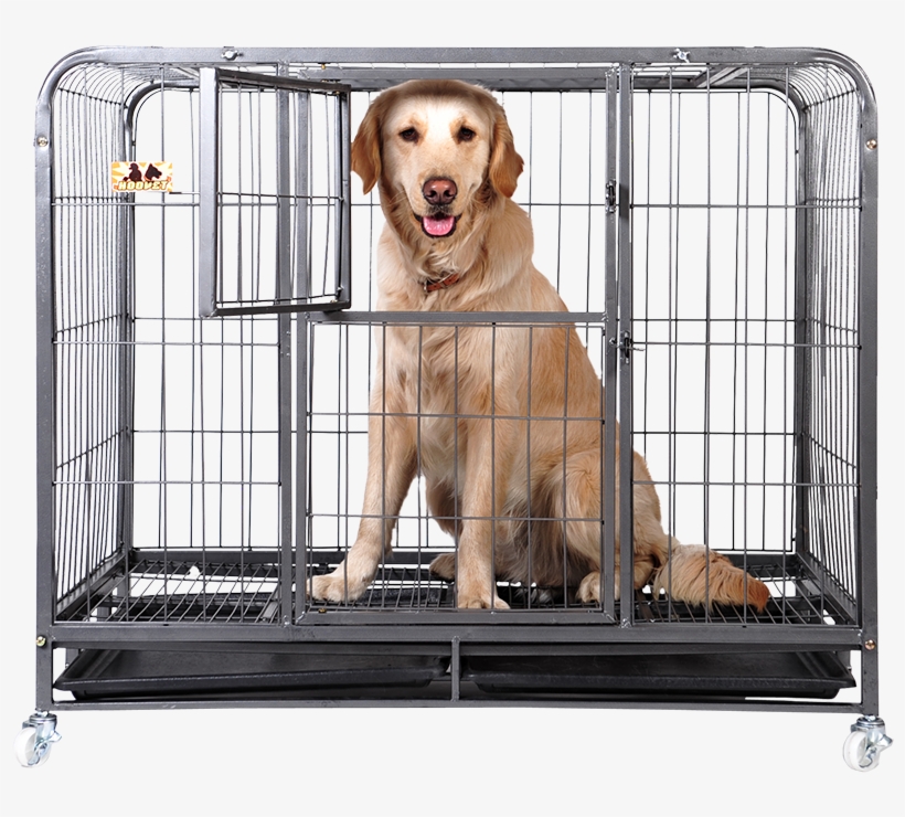 Huayuan Hoopet Square Tube Dog Cage Large Dog Jinmao - Dog, transparent png