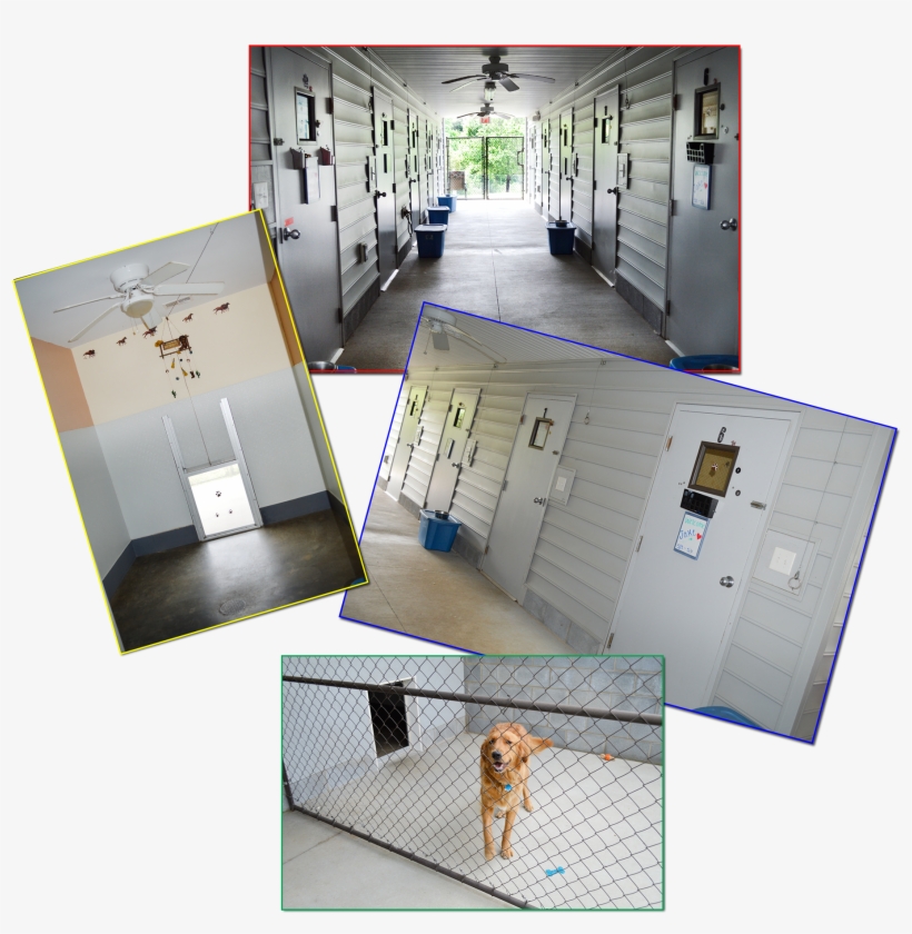 Welcome To Paws On The Plaza, Where We're As Crazy - Floor, transparent png