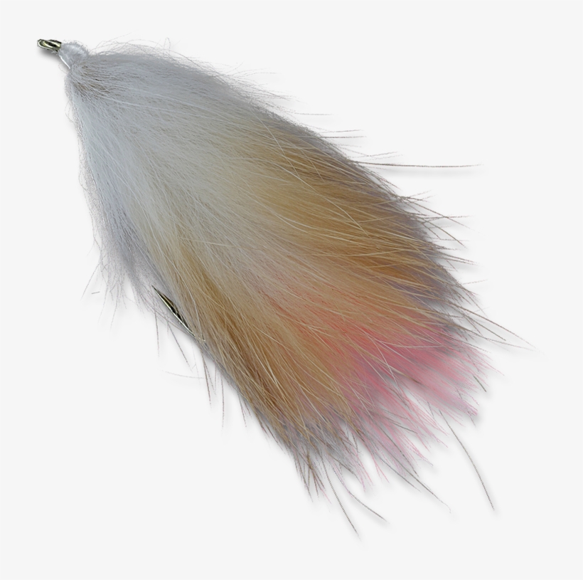 Drifting Carcass - - Bait Fish, transparent png
