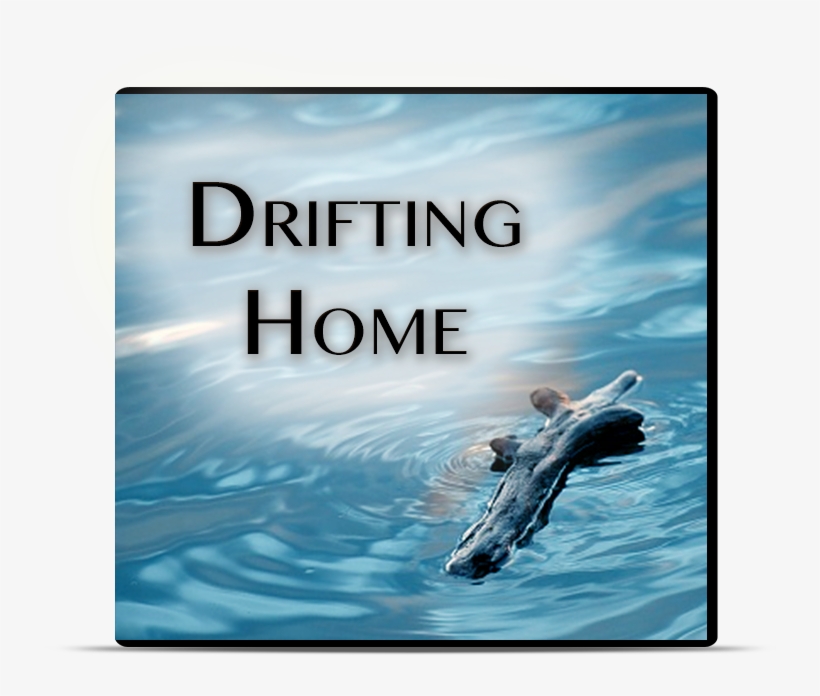 Drifting Home - Piece Of Driftwood In Water, transparent png