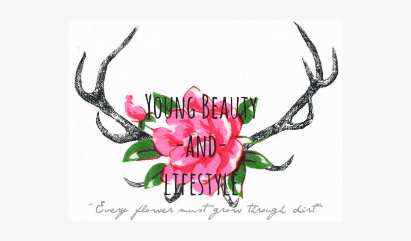 Young Beauty Lifestyle - Protea, transparent png