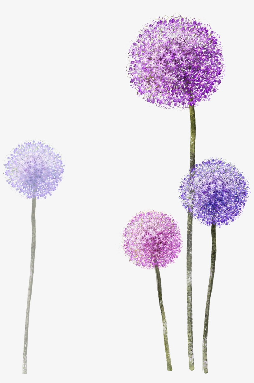 Purple Paper Wallpaper Dandelion Hq Image Free Png - Purple Dandelion Png, transparent png
