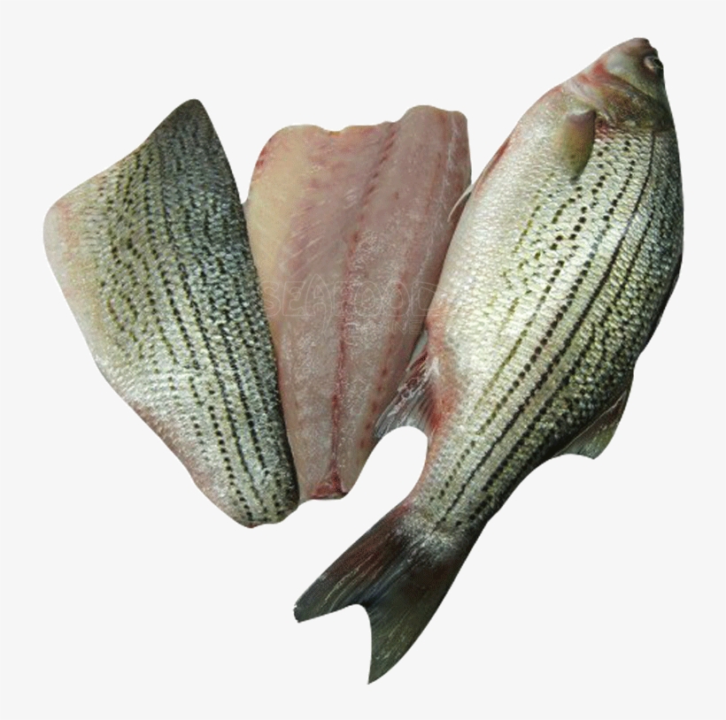 Striped Bass Whole By Lb - Striped Bass, transparent png