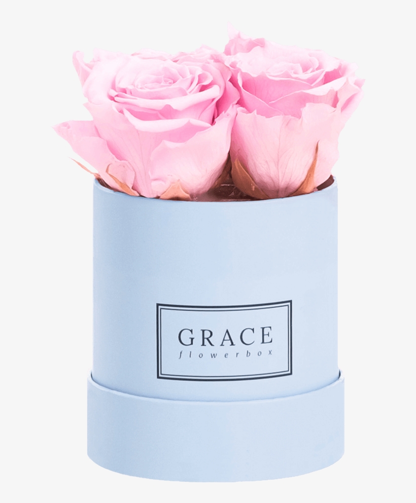 Grace Flowerbox 1 Rose, transparent png