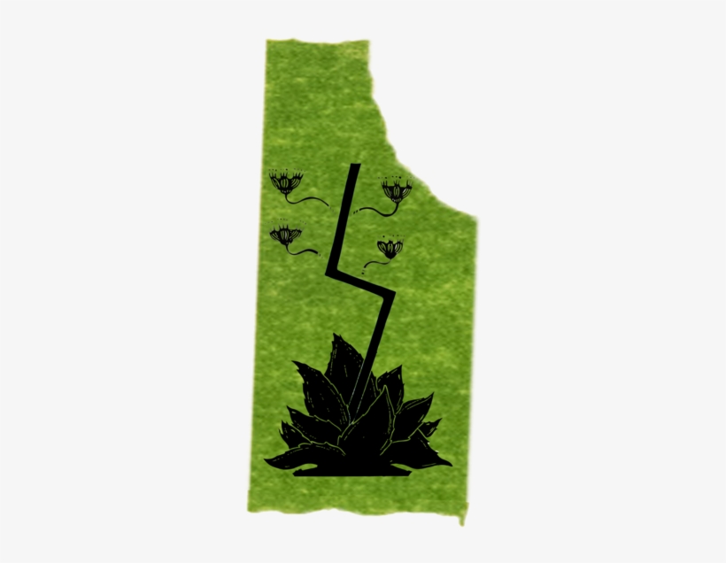 Leaf Village Symbol Png, transparent png