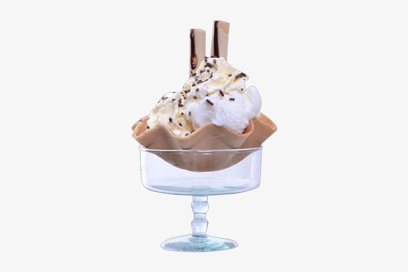 Concha, transparent png