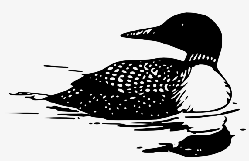 Common Loon - Loon Clipart, transparent png