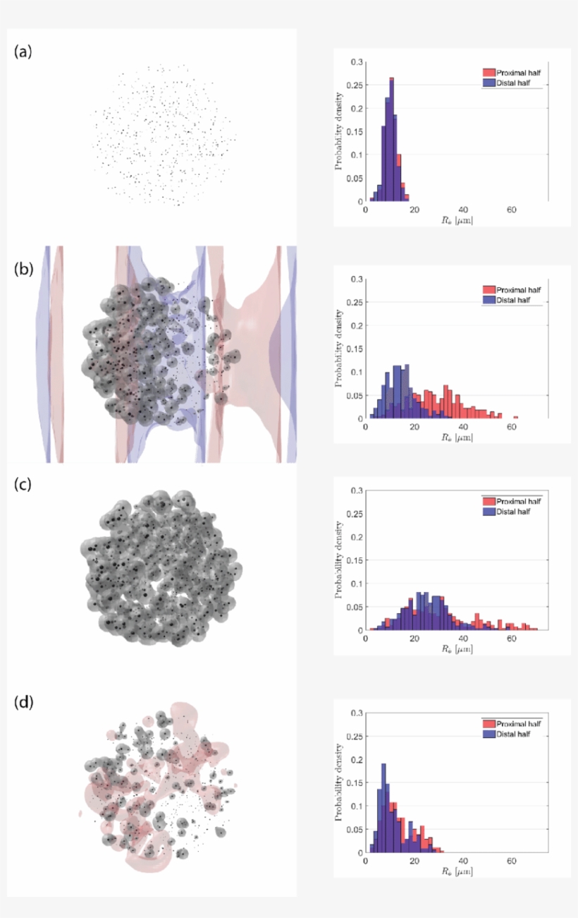 Snapshots Of The Bubble Cloud During The Simulation - Initial Condition, transparent png