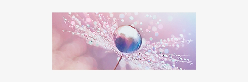 Image For 20x50" Abstract Painting From Brault & Martineau - Leinwandbild „tautropfen Auf Einer Pusteblume Im Schnee“,, transparent png