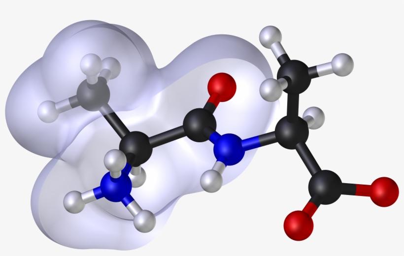 Molecular Modeling - Op Tandon Organic Chemistry, transparent png