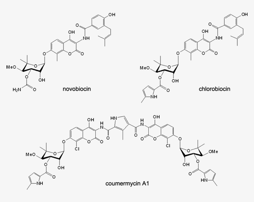 Structures Of Novobiocin, Chlorobiocin And Coumermycin - Tyrosine Kinase Inhibitors Chemical Structure Activity, transparent png