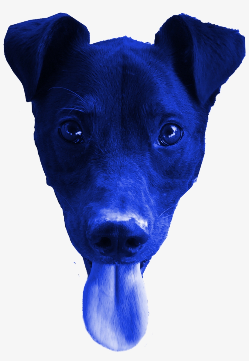 After Tinkering Around, I Settled On A Blue Color Palette - Feist, transparent png