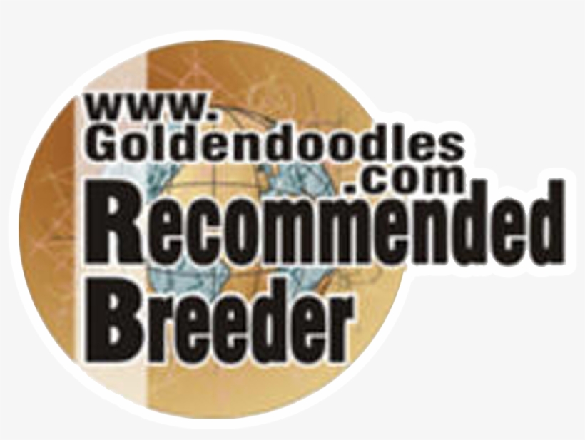 Goldendoodle Awards And Accreditations - Goldendoodle, transparent png
