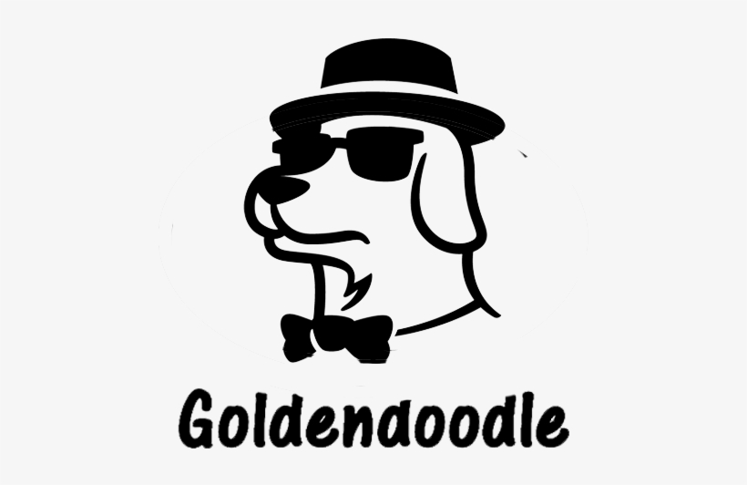 2019 Goldendoodle - Dog, transparent png