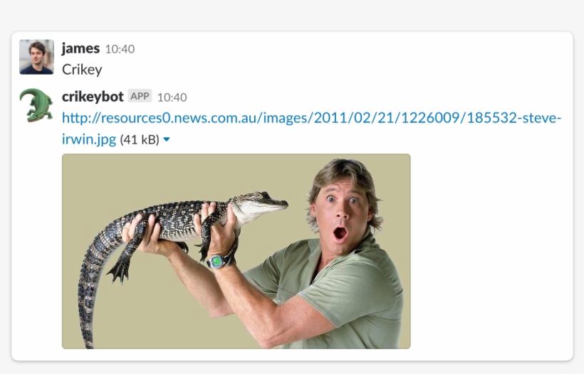 Crikey Slack Integration - Steve Irwin Crocodile Hunter Costume, transparent png