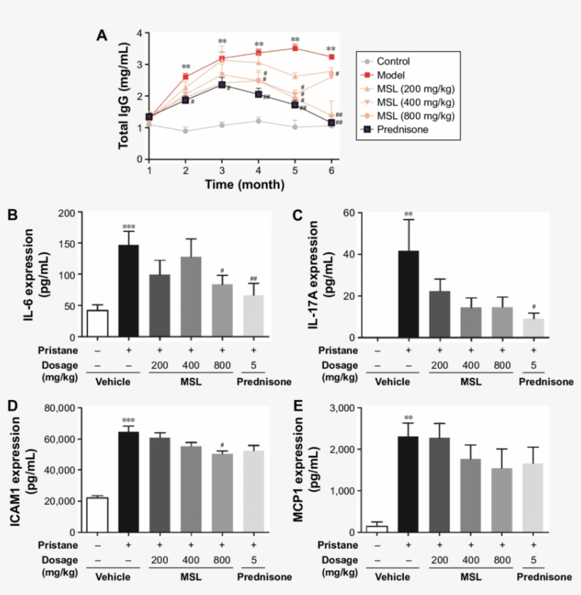 Total Igg And Cytokines In Peripheral Circulatory System - Diagram, transparent png