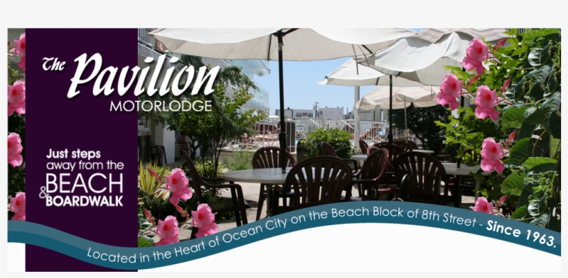 Pavilion Has All The Amenties To Meet Your Needs From - Hotel, transparent png