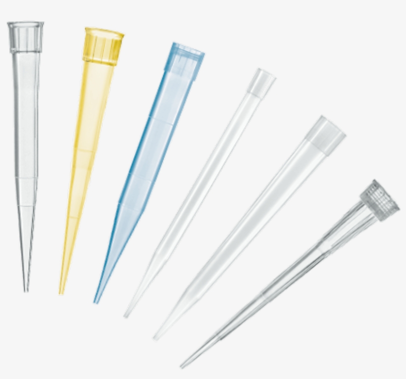 Pipette Tips - Pipette, transparent png