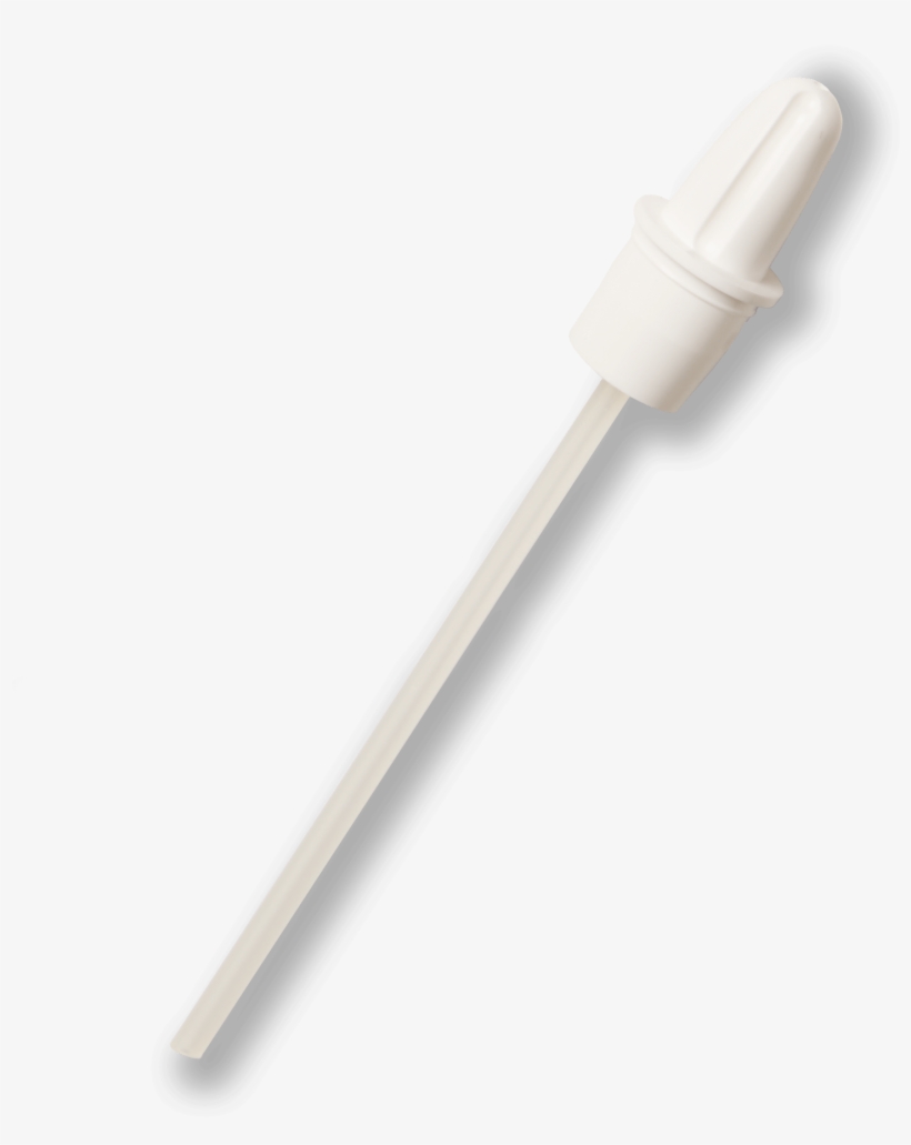 Specialty - Sardine, transparent png