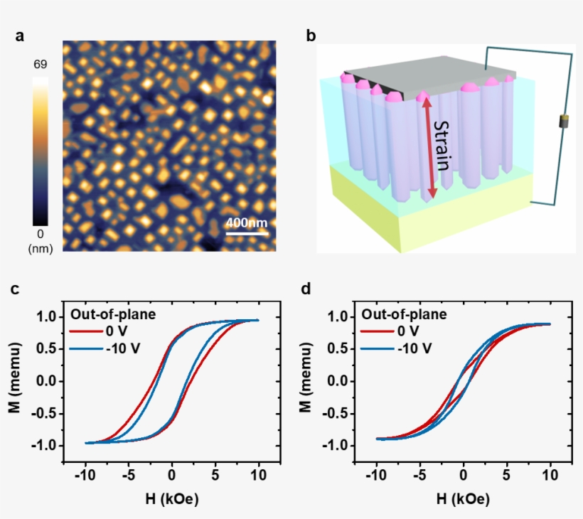 Me Effect In The Van Film - Information And Communications Technology, transparent png