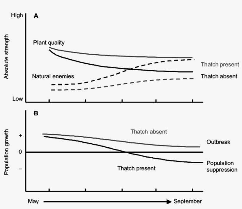 Conceptual Model Comparing Seasonal Changes In The - Diagram, transparent png