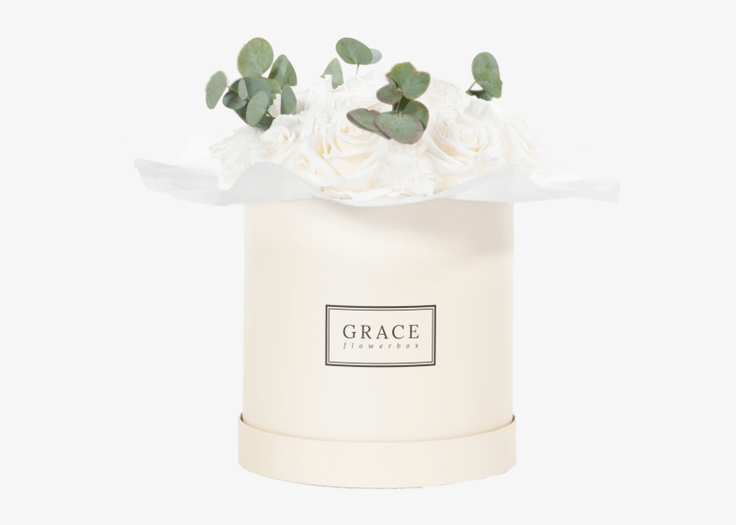 White Carnation - Europe, transparent png