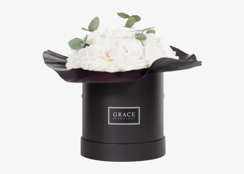 White Carnation - White, transparent png