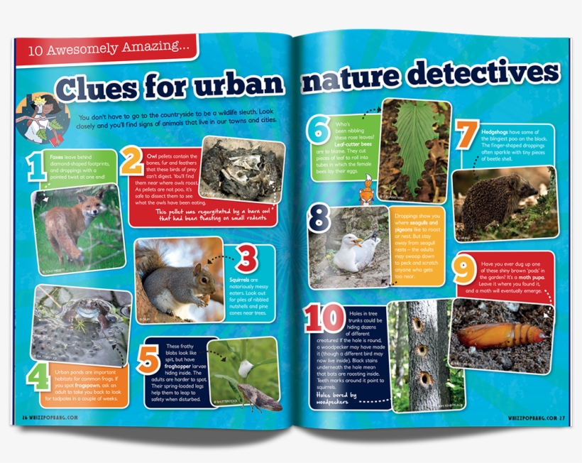 #blingyhedgehogpoo Hashtag On Twitter - Mouse, transparent png