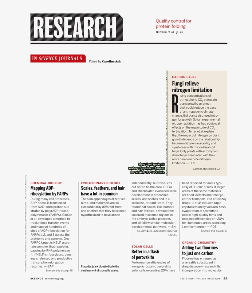 Up Coming Article, transparent png