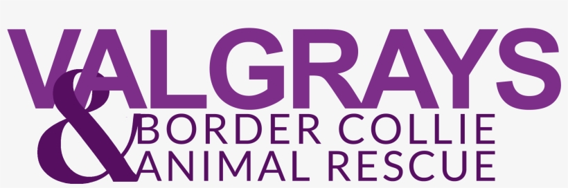 Family Hotel Venera, transparent png