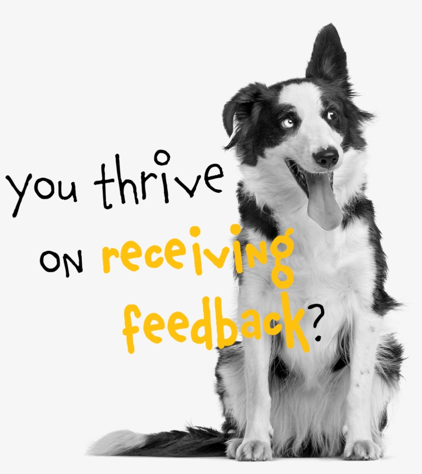 Njuškalo Is The Biggest Croatian Marketplace Player - 10 Años, transparent png