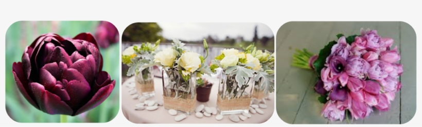 Hitched- Double Tulip Flower - Pink And Lavender Wedding, transparent png