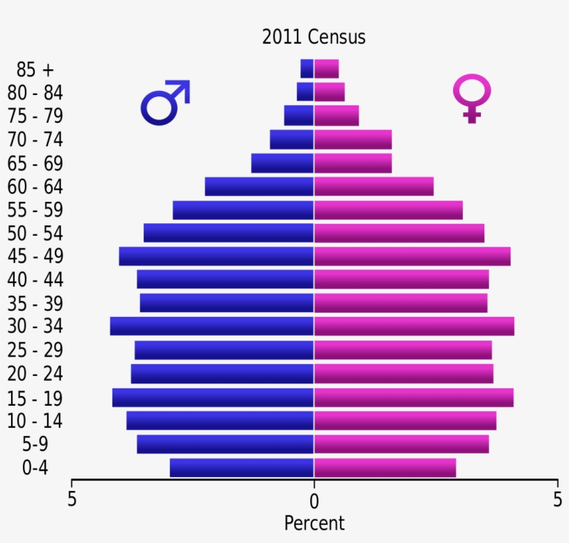 Mauritius Population Pyramid - Population Pyramid Of India Census 2011, transparent png