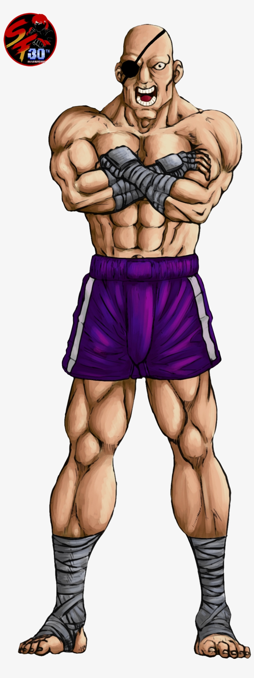 “street Fighter Is One Of The Oldest Sagas Of Fighting - Street Fighter 1987 Sagat, transparent png
